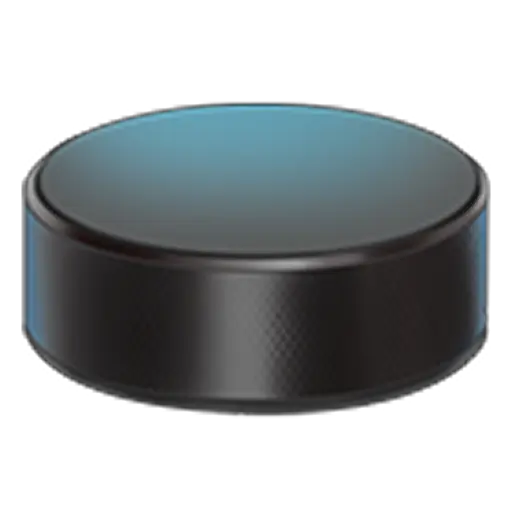 Buz Hokeyi icon